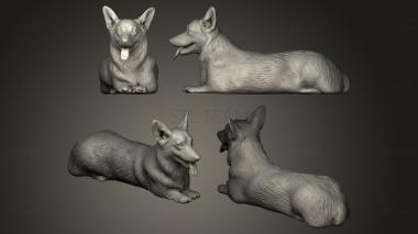 3D model Corgi dog lying 03 (STL)